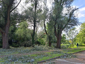 NOC-Poly- Stormschade in het Lepelaarspark